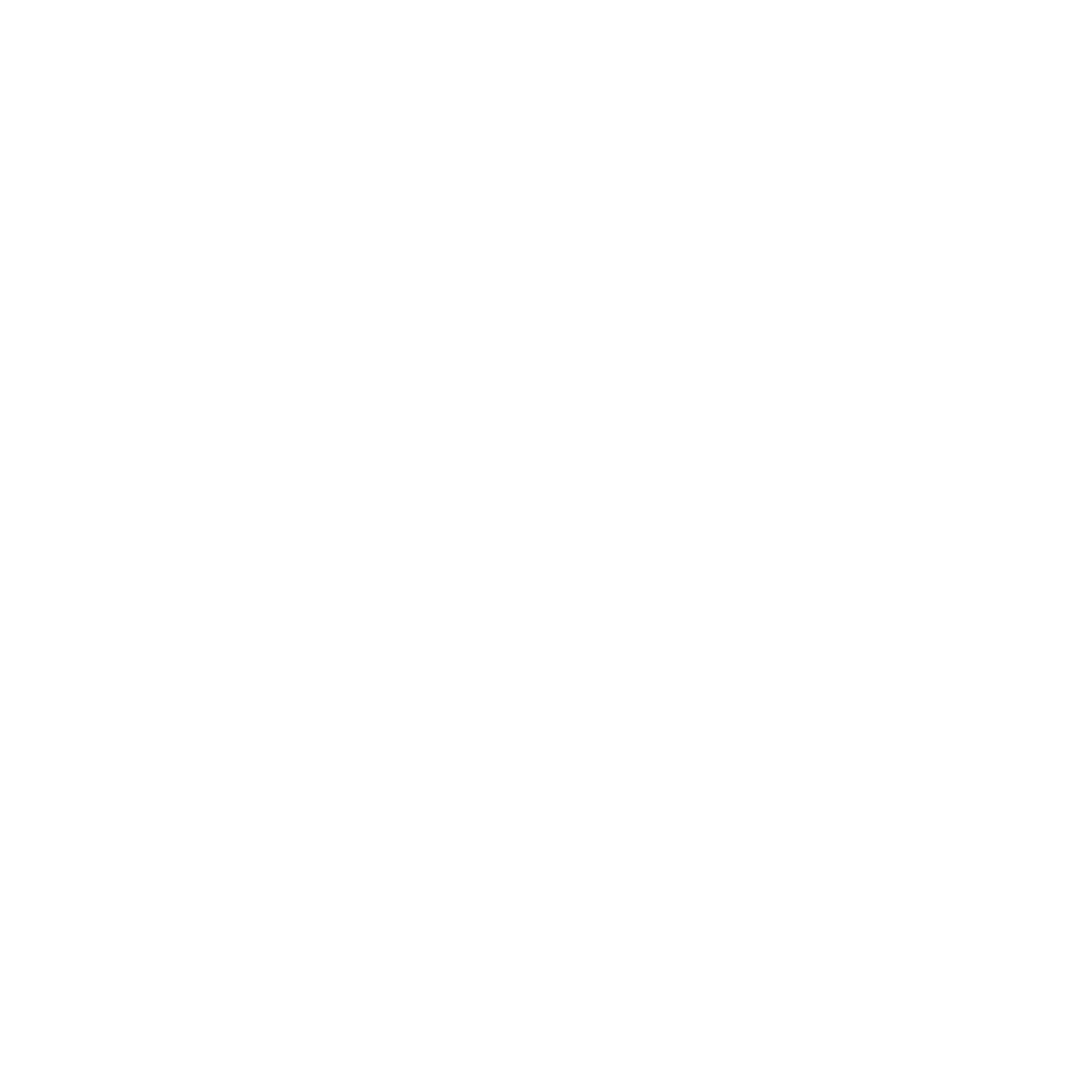 Prife International Logo